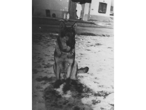 Foto 10